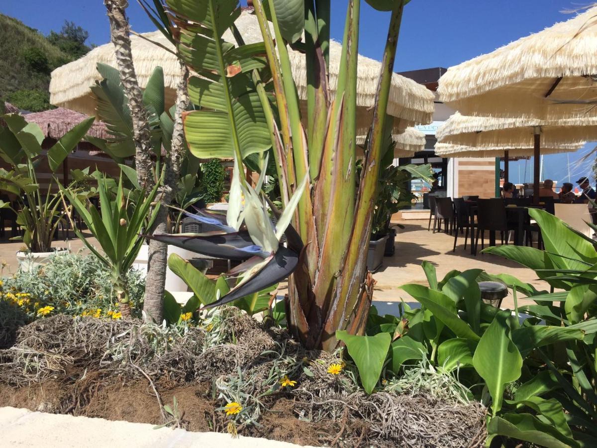 Suebi Rooms Termoli Dış mekan fotoğraf