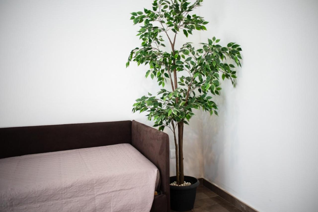 Suebi Rooms Termoli Dış mekan fotoğraf
