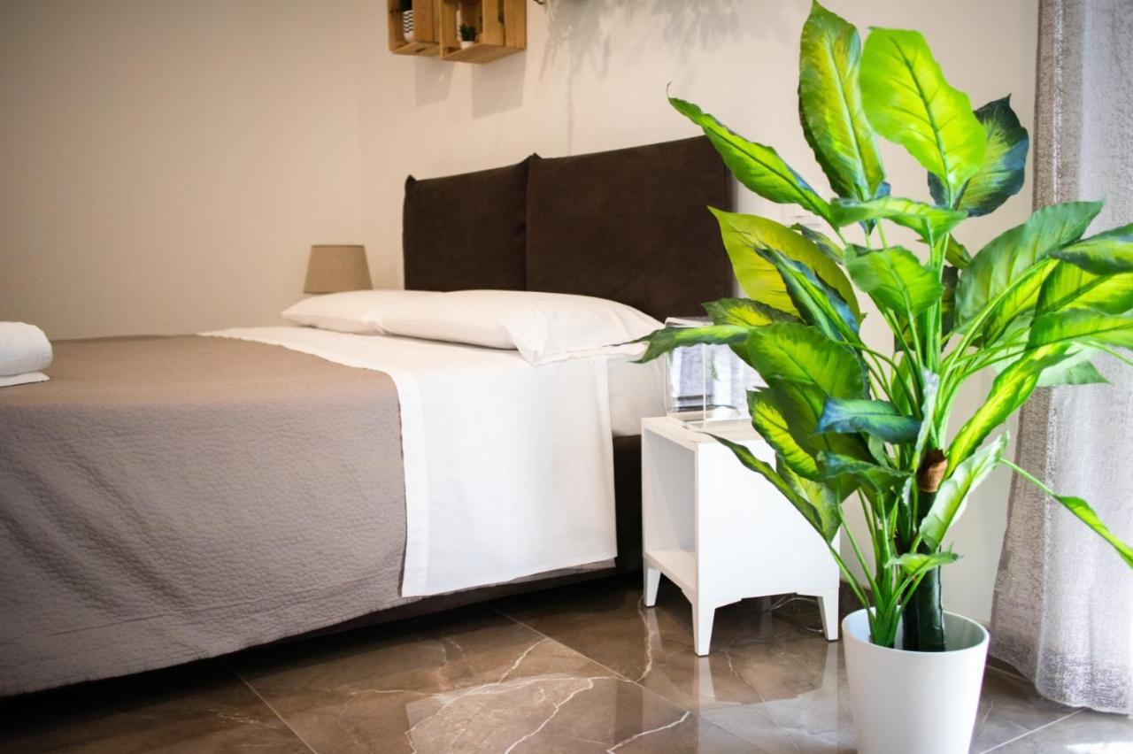 Suebi Rooms Termoli Dış mekan fotoğraf