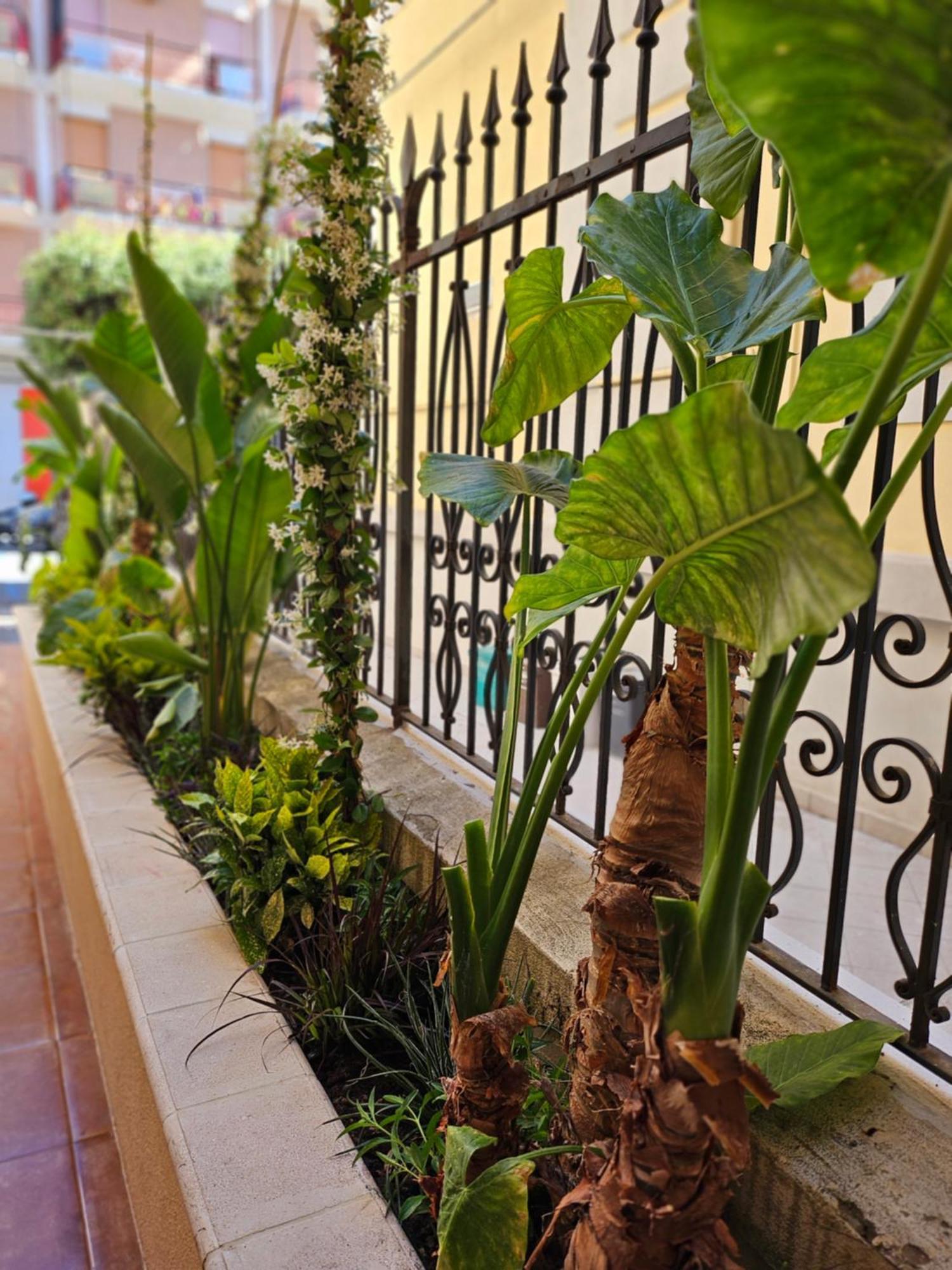 Suebi Rooms Termoli Dış mekan fotoğraf